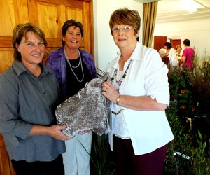 Planteleer vir Bietoubossers